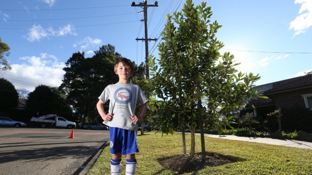 Seven-year-old Laurence Bennell in 2016 with a tree he planted four years ago in Roseville.