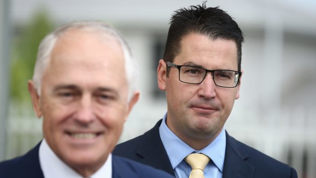 Multicultural Affairs Minister Zed Seselja, right, said parts of the report's criticism were "bizarre".