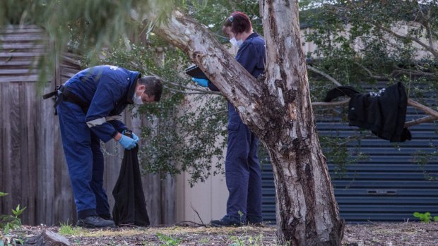Forensic police search the park adjacent to where the red 1999 Nissan Patrol was found, in Berry Street, Coburg.