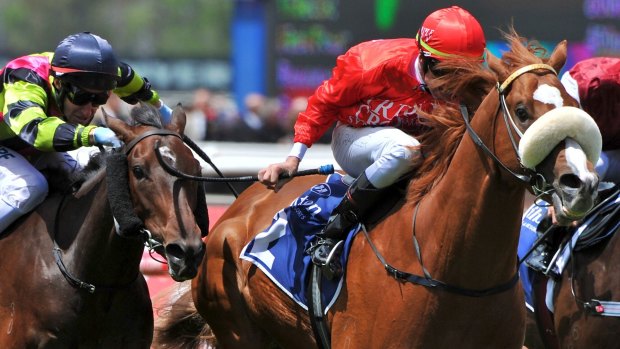 Staying put: The jockeys' use of the whip won't be further restricted after a Racing Australia review.