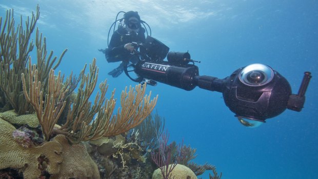 Dr Manuel Gonzales-Rivero surveys coral in Bermuda.