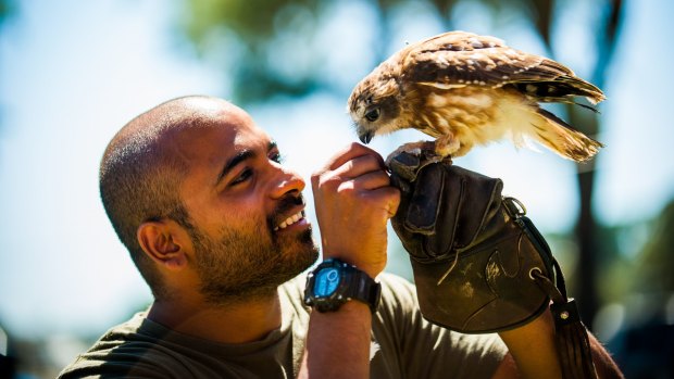Bird trainer Ravi Wasan with a rare southern boobook owl aka Mopoke.