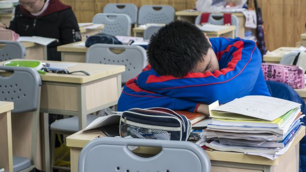 A student catches a quick nap during a meal break at the prestigious Shanghai High School in Shanghai.
