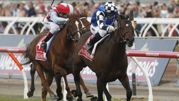 Rivals: Protectionist beat Red Cadeaux at the Melbourne Cup but they are to race again in Sydney.