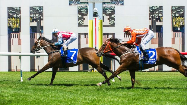 Canberra racing boss Peter Stubbs says feedback for the $50,000 Federal has been  "exceptionally positive".