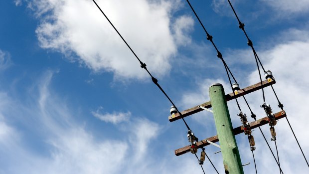A Macquarie-led group has won the auction for NSW distributor Endeavour Energy. 