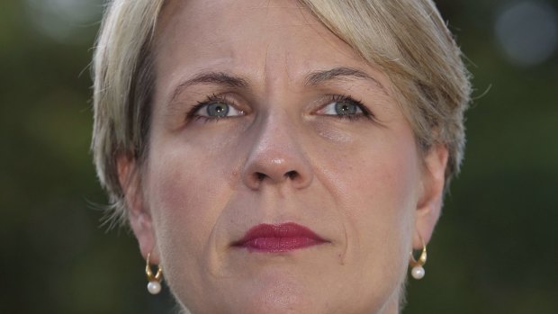 While some MPs, such as Labor's deputy leader Tanya Plibersek, have been vocal in their support for same-sex marriage, other supporters have chosen to keep their views private.