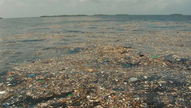 Marine debris in Port Honduras Marine Reserve, Belize.