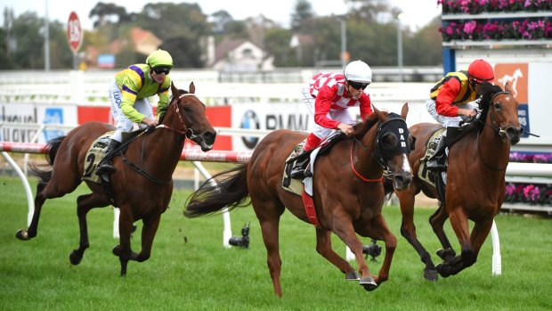 Strategy: Craig Williams rides Miss Promiscuity to victory at Caulfield.