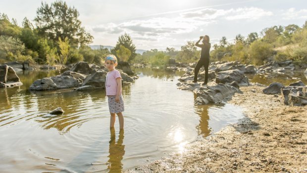 Tuggeranong environmentalist  Matthew Frawley scopes for a scarlet robin as four-year-old daughter Ruby enjoys a paddle in the  Murrumbidgee River.