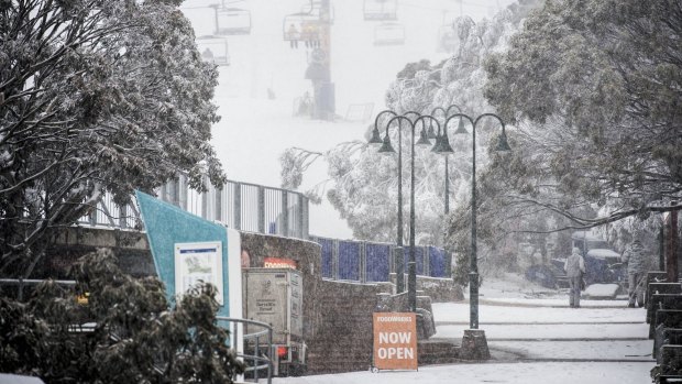 Welcome snow at Mt Buller on Thursday morning.