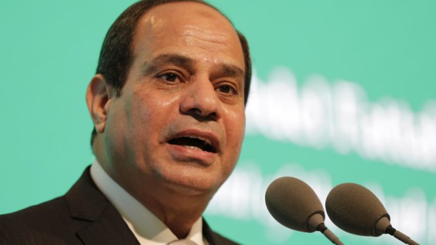 Egyptian President Abdel-Fattah el-Sisi has dismissed claims terrorism is to blame for the Russian plane crash last week.