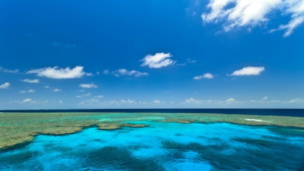 The Japanese national died while diving on The Great Barrier Reef.