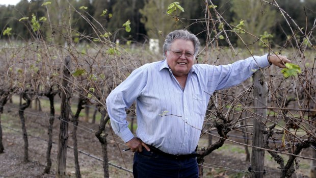 Passion for the Knights: Winemaker Brian McGuigan.