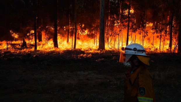 Firefighters worked on the Richmond Vale fire well into the night.