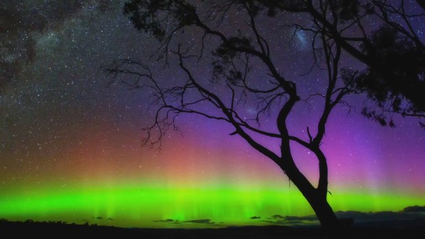 Dramatic effect: The Aurora Australis seen from northern Tasmania.