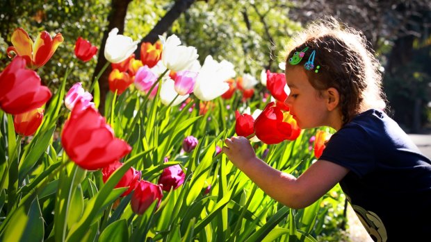 Melbourne is set to get its first taste of spring this weekend.