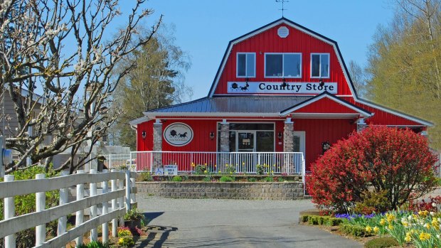 At honey-producer Campbell's Gold in Abbotsford you can tour the beehives and taste products such as mead.