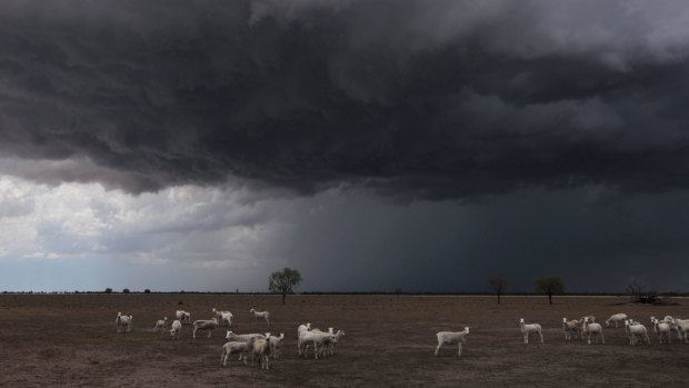 Big dry: Storms skirt Neil and Anne Kennedy's Coonamble property.
