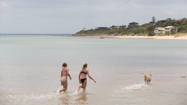 Canadian Bay on the Mornington Peninsula.