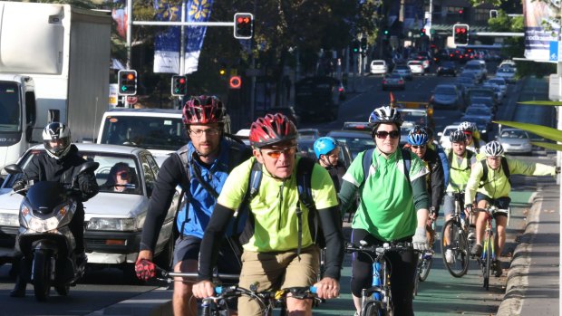 The College Street cycleway in Sydney,which is slated for removal. 