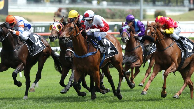 Early present: Blake Spriggs (white cap) and Sir John Hawkwood take out the Christmas Cup at Royal Randwick.