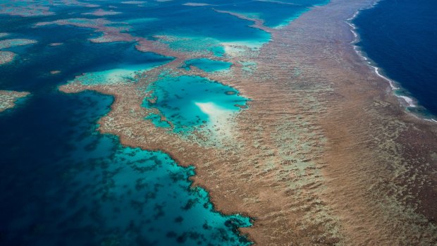 The Great Barrier Reef is the subject of a Deloitte Access Economics report.