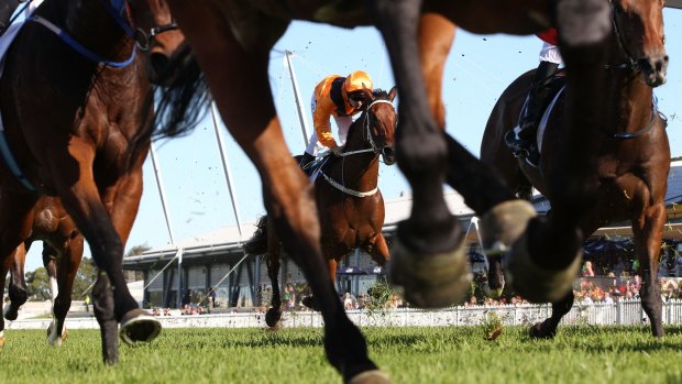 Big day: Tim Clark, seen here riding Craftiness in race 6, scored in the two major races at Rosehill on Saturday.