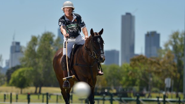 Polo club: Nick Myer and Obsession display their skills at Albert Park.