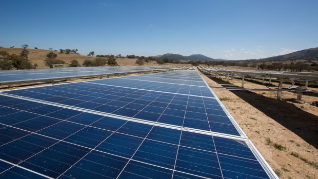 Williamsdale solar farm in the ACT.