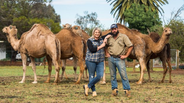 Megan and Chris Williams are camel farmers in Kyabram.