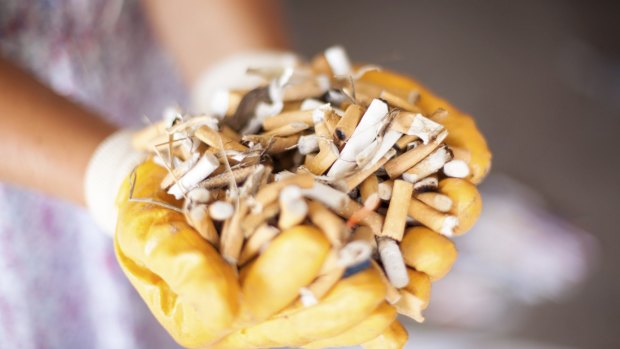 Cigarette butts are a main culprit in Canberra's litter issues.