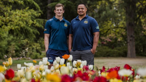 Brumbies James Dargaville and Ita Vaea have played starring roles for the Vikings in the NRC this season.