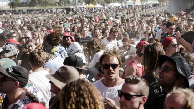 Groovin' The Moo patrons have criticised the inaction of security guards at Sunday's event.