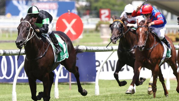 Plan comes together: Jason Collett rides Adorabeel to victory at Rosehill on Saturday.