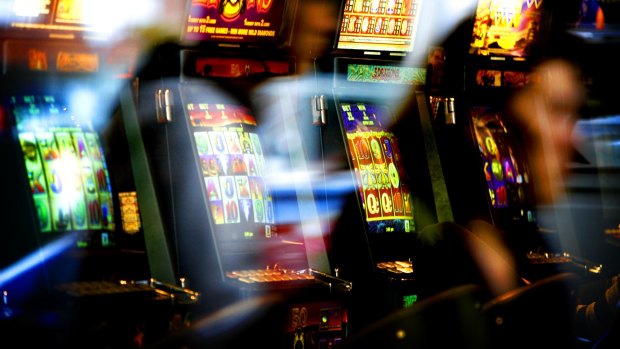 The report identified $100 million worth of theft motivated by gambling. 
