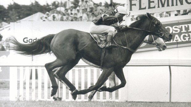 Memorable: What A Nuiscance winning the 1985 Melbourne Cup.
