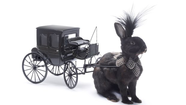 Whimsy: Bunny Carriage, by Julia deVille.