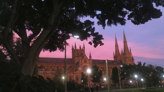Pink and purple over St Mary's Cathedral at Hyde Park.