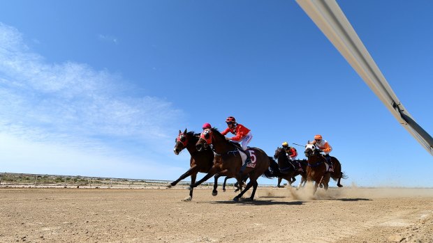 Horses come around the turn for the home straight during race 3 of the Birdsville race carnival.