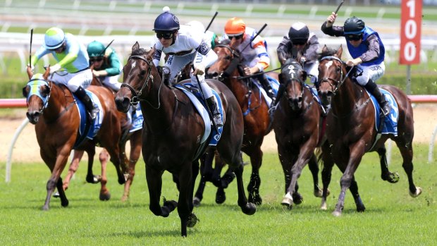 Slipper favourite: She Will Reign romps away with the Inglis Nursery.