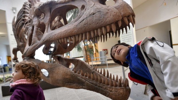 Fossil evidence shows that T-rex's teeth could crush bone.