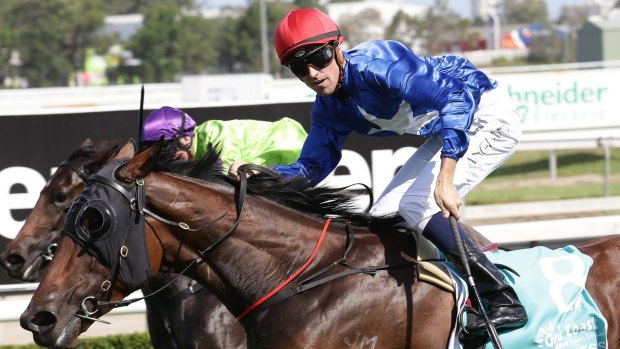 The big race: Tye Angland riding on Flying Jess wins last year's Magic Millions Guineas. Peter Robl hopes Curdled can spring an upset this year.
