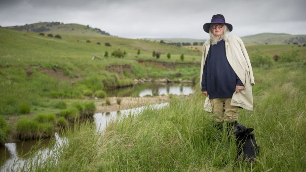 Dimity Davy and her late husband, Bill, built a leaky weir across Turallo Creek, transforming a dry gully into a lush waterway. Now NSW Water is threatening a $1 million fine if it is not pulled down.

