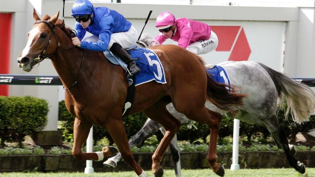 Strong showing: James McDonald riding Hazard wins  at Doomben earlier this month.
