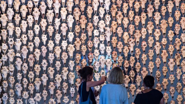 Norwegian artist Maret Anne Sara's Documenta 14 installation Pile o Sapmi is a curtain made of reindeer skulls.