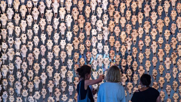 documenta-14-and-art-basel-2017-review-smug-hypocrisy-and-shameless-commerce
