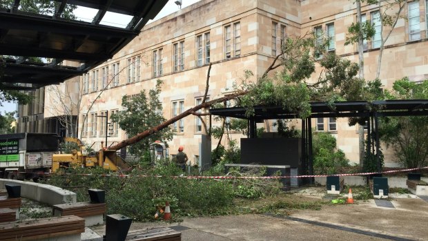 UQ suffered heavily in the storm of November 27.