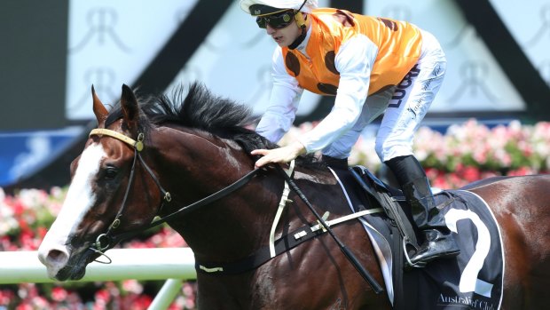 Menari, trained by Gerald Ryan, has firmed into a $3 favourite at the Black Opal Stakes on Sunday. 