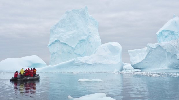 Ice floes form
beautiful natural
sculptures in
Antarctica.